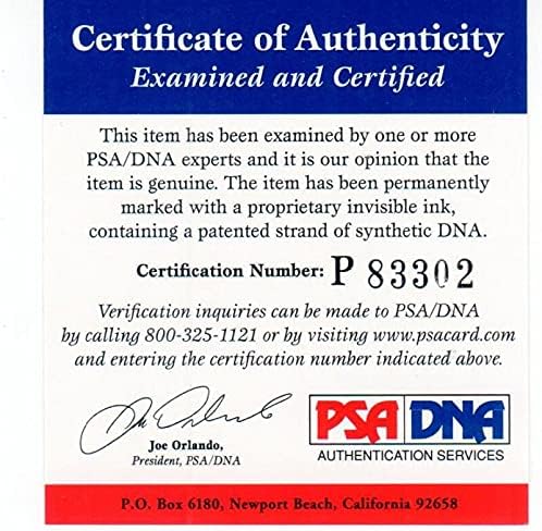 ריק פיטינו פרובידנס קנטאקי לואיוויל כדורסל חתם על 8x10 צילום PSA/DNA Auto