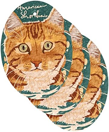 Alaza American Shorthair חתול ציור ספוג טבעי ספוג מטבח תאית ספוגים למנות שטיפת אמבטיה וניקוי משק בית, שאינו מגרש וידידותי לסביבה, 3 חבילות