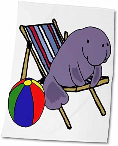 3 דרוז מצחיק מגניב מצחיק יושב בכיסא חוף עם כדור חוף - מגבות