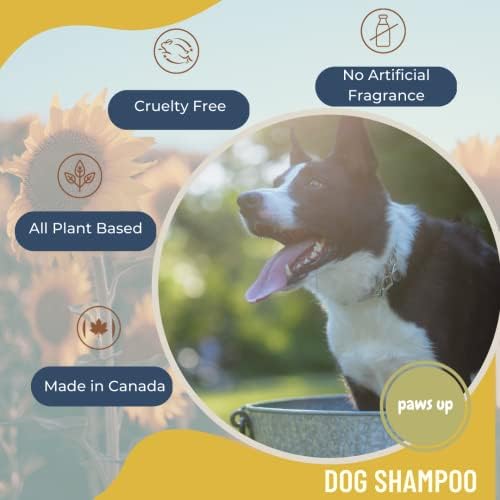 שמפו לכלבים טבעיים של כבשים שחורות אורגני מנדרינה וכתום-גור או בכיר - שמפו מרגיע ומרגיע לכלבים עצבניים-תוצרת קנדה