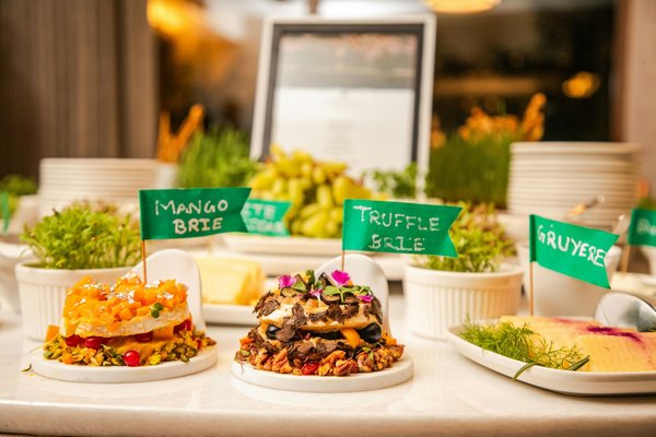 Four à pizza : rapidité, stockage et qualité professionnelle